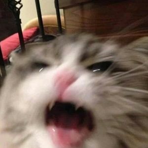 Meet your Posher, Elian